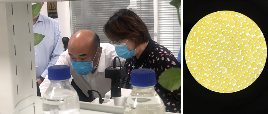 ����ʡʡ�������С��������г�����Զһ�е��и���uu���������ҵ԰