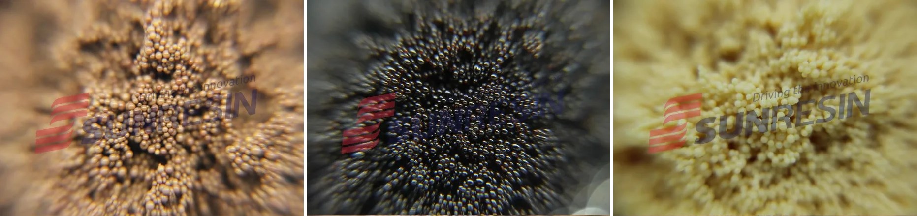 uu��������Ƽ��ֳɻ�����֪��2020���ר��ר���о���Ŀ